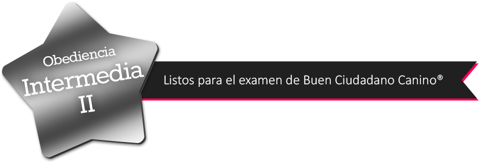 obediencia intermedia