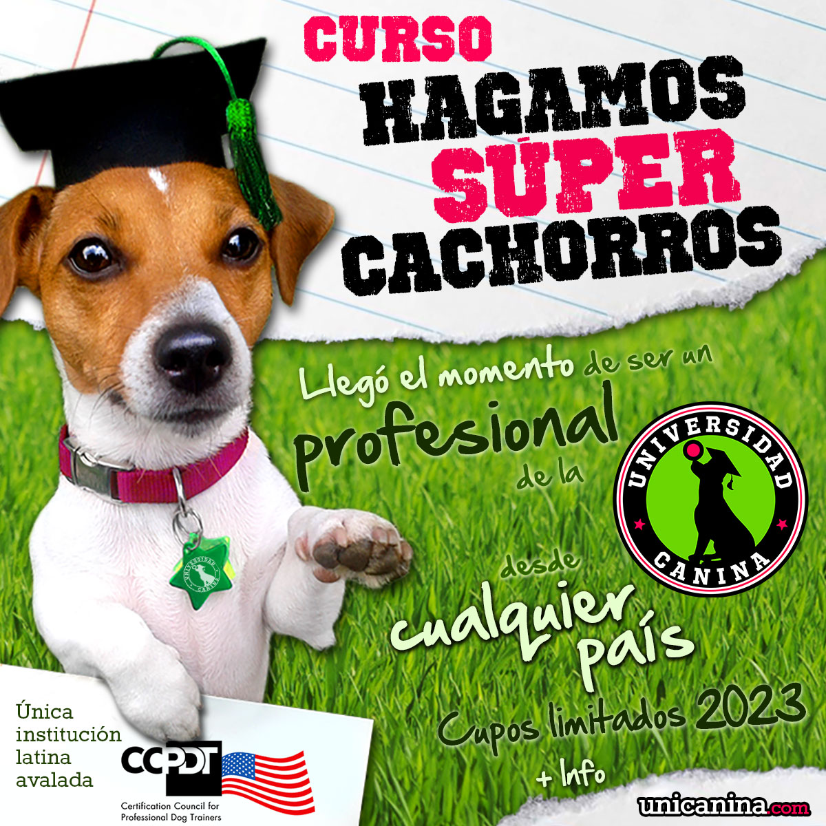 Hagamos Super Cachorros Universidad Canina